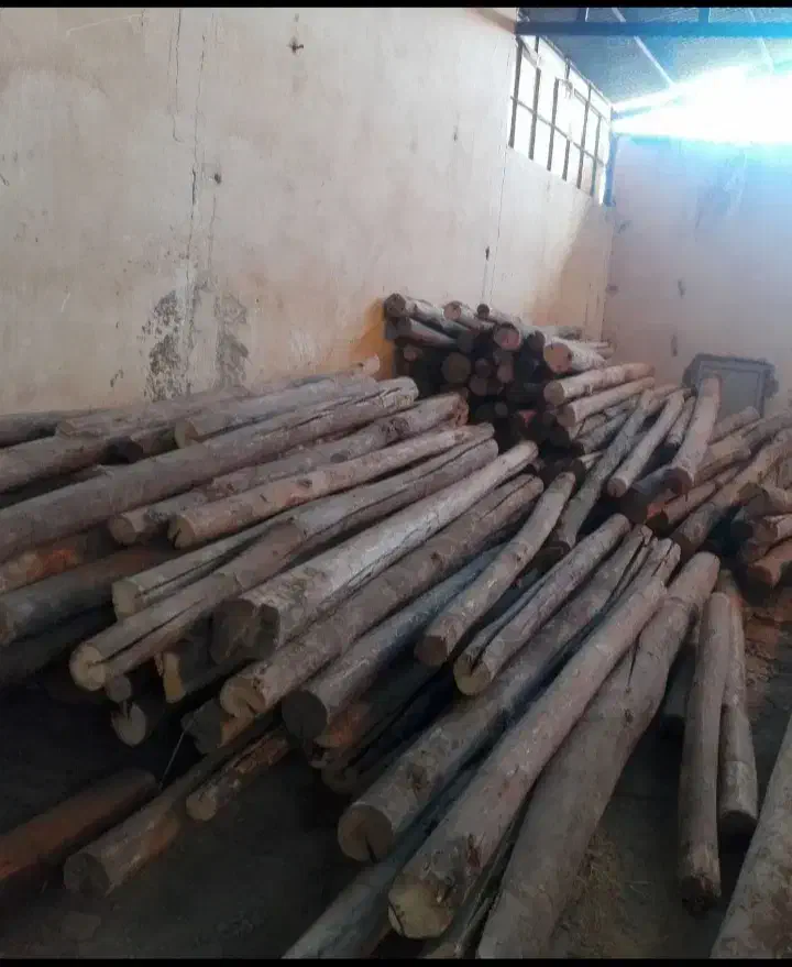 انواعچوبچناروضایعاتخریدارم|عمدهفروشی|ماهیدشت, |دیوار