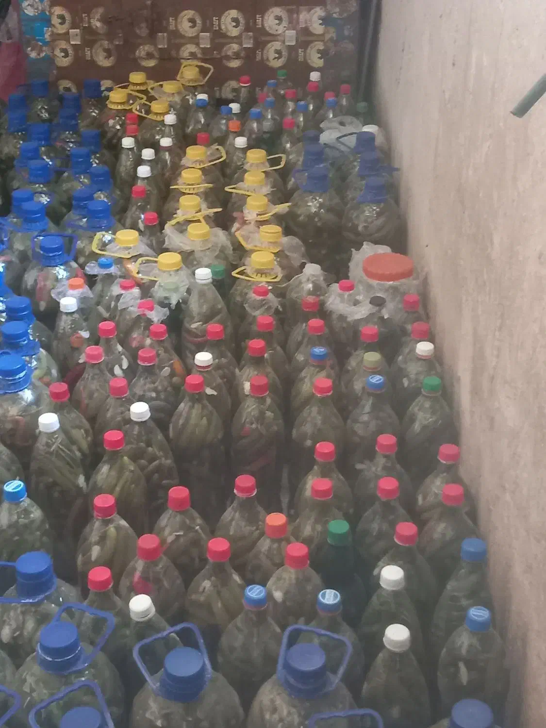 خیارشور|خوردنی و آشامیدنی|کوهدشت, |دیوار