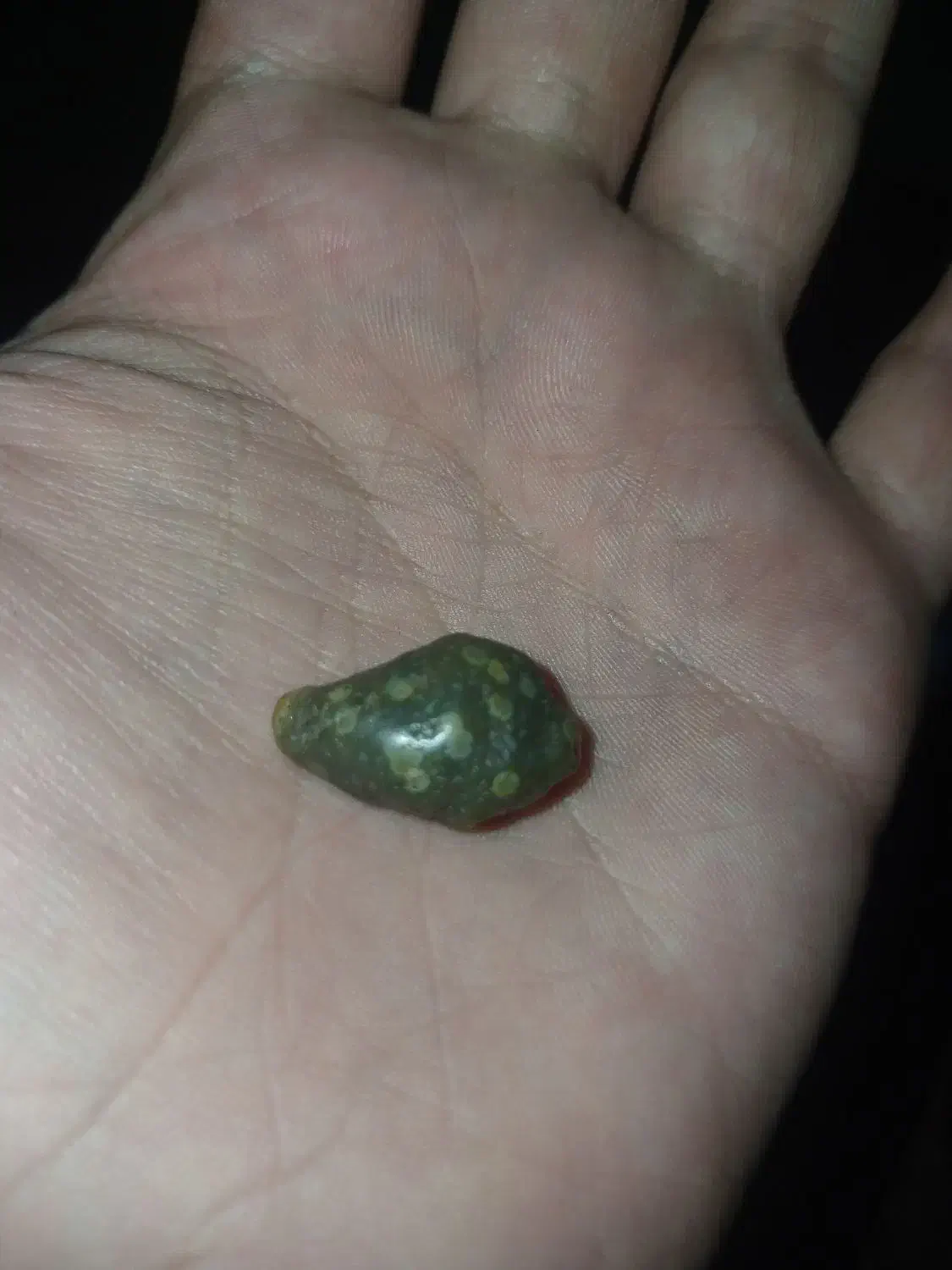 زوعه مار مصور|جواهرات|اهواز, کمپلو جنوبی|دیوار