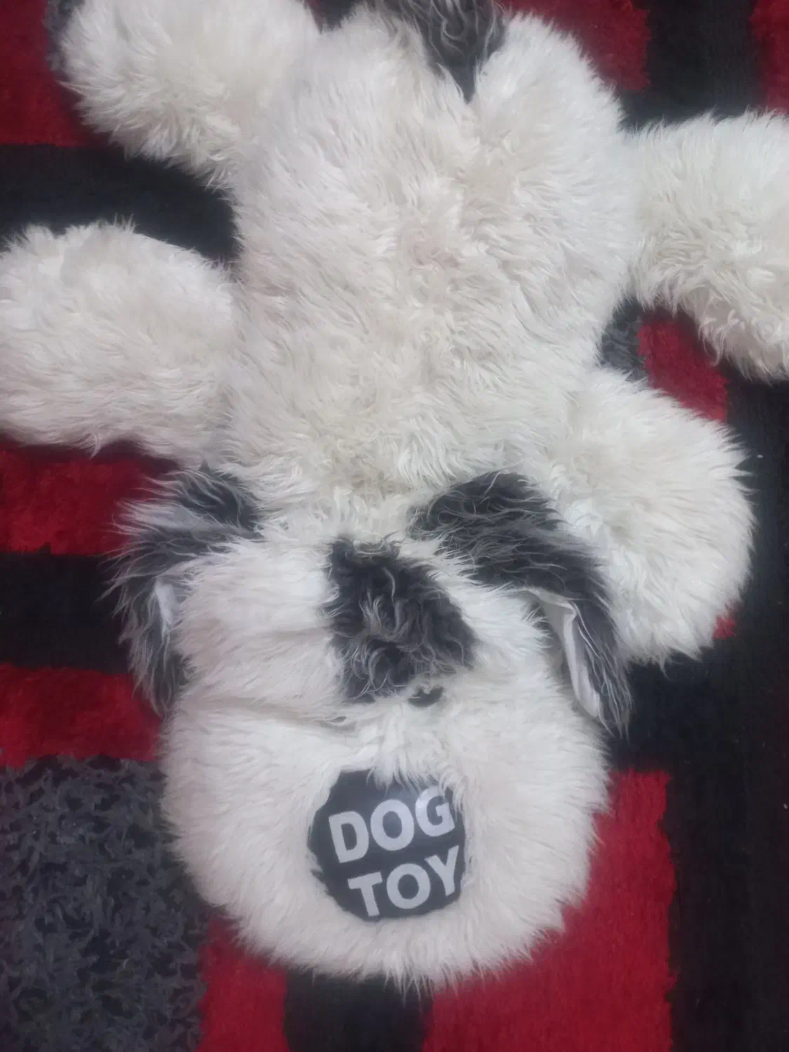 سگ پشمی|اسباب‌بازی بچه|شاهین‌شهر, اقبال لاهوری|دیوار