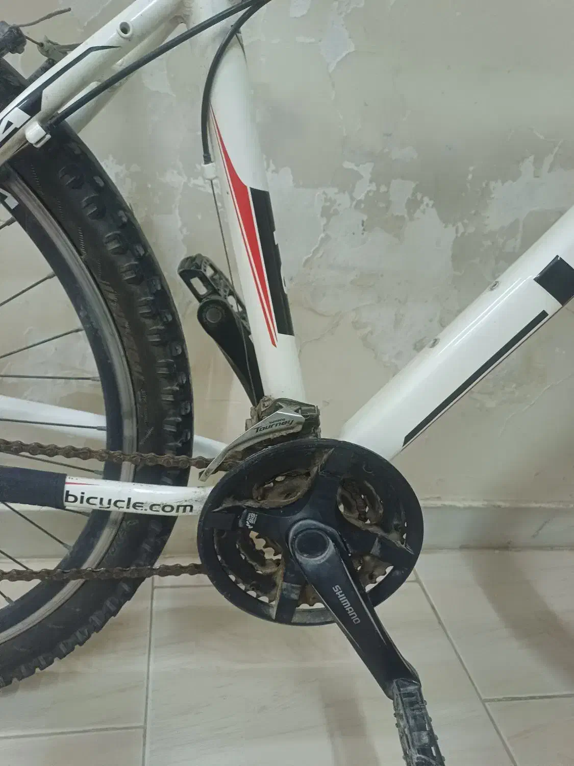 دوچرخه ویوا|دوچرخه، اسکیت، اسکوتر|بندرعباس, |دیوار