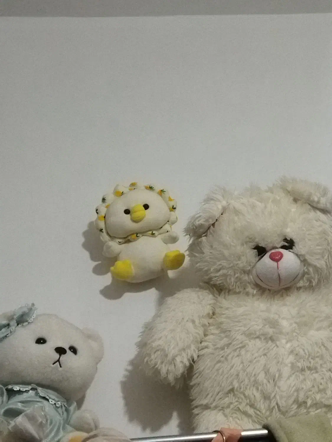 عروسک نو|اسباببازی|اردبیل, |دیوار