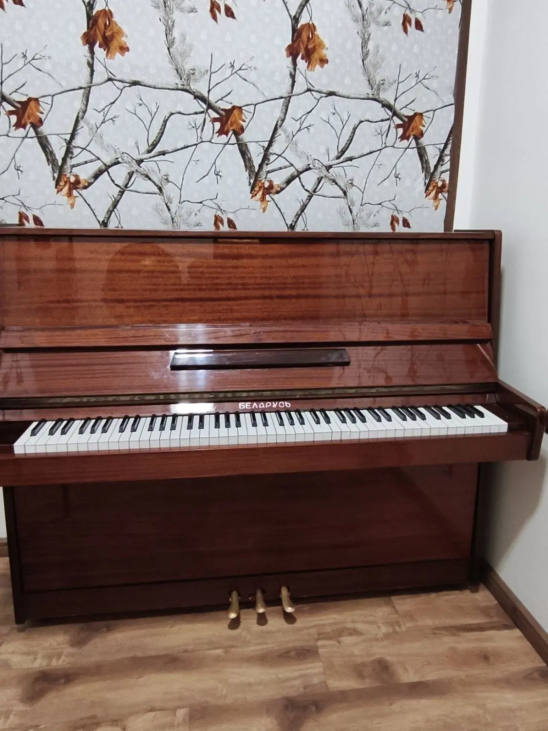 piano|پیانو، کیبورد، آکاردئون|تهران, حکمت|دیوار