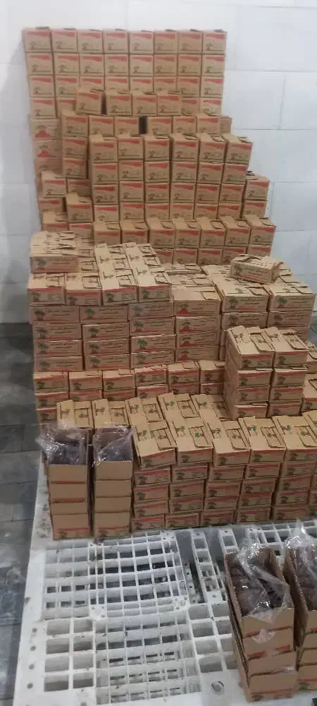 خرما کبکاب بوشهر|عمده‌فروشی|اردبیل, |دیوار