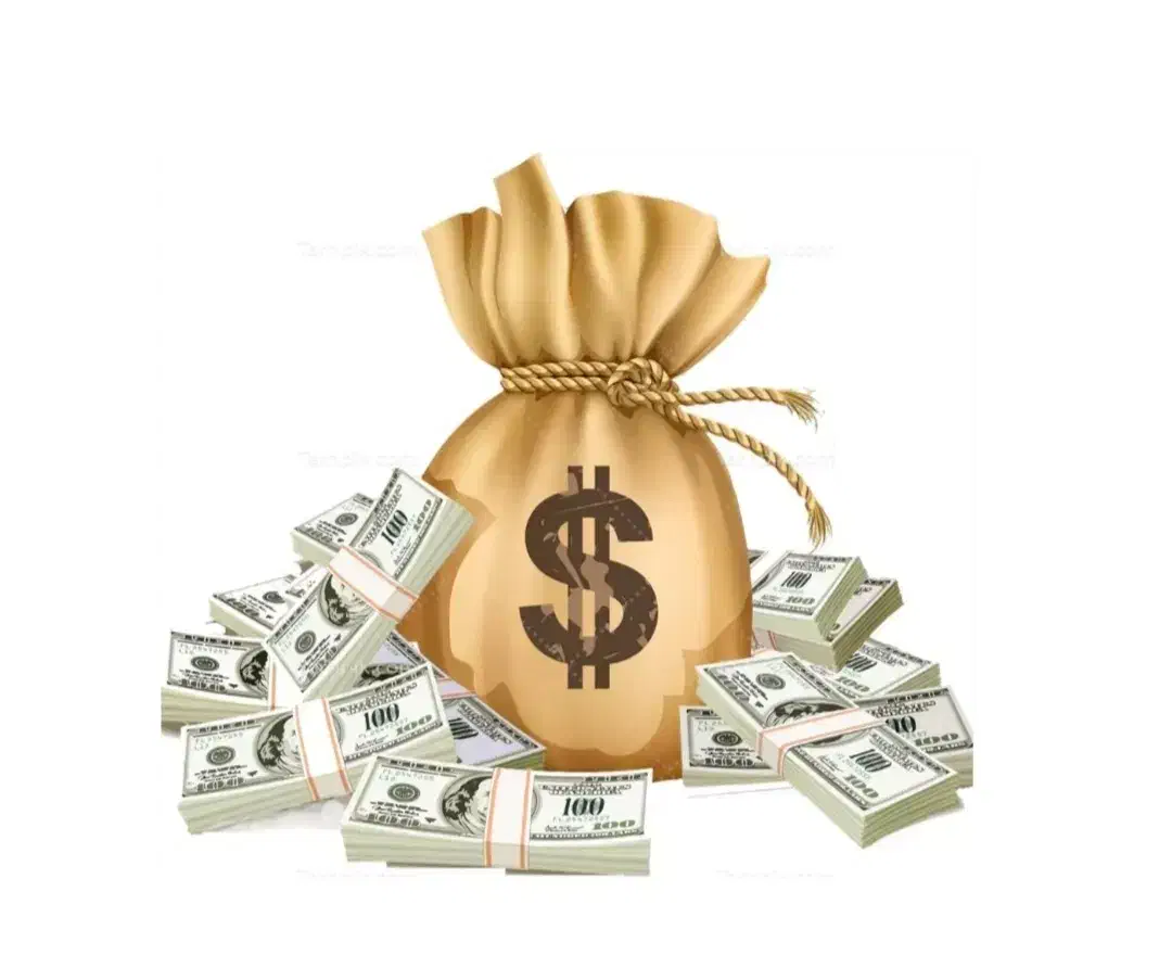 سرمایه گذار هستیم|فعالیت داوطلبانه|سبزوار, رضوان|دیوار