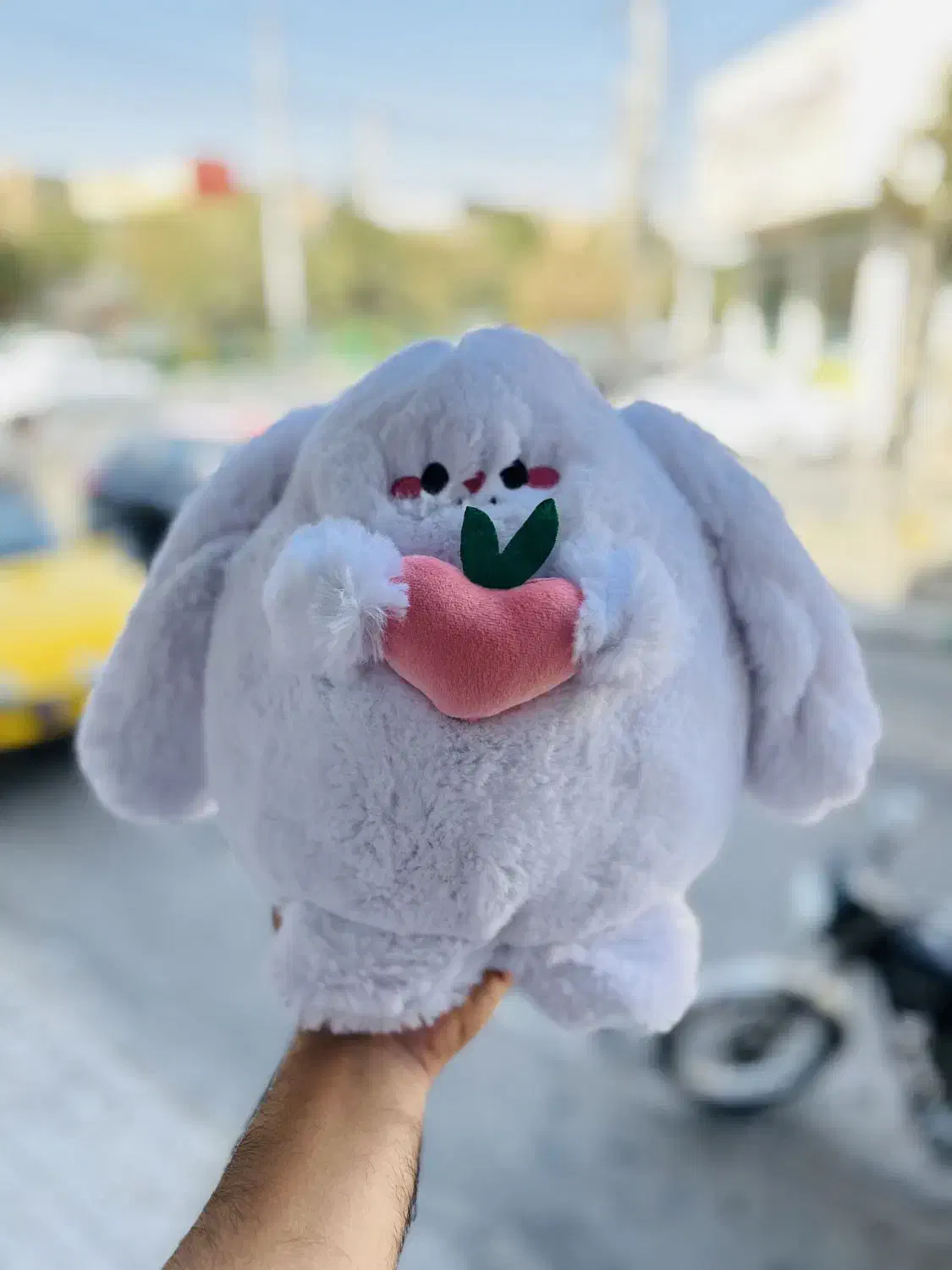 پخش عمده عروسک|اسباب‌‌بازی|قم, زاویه|دیوار