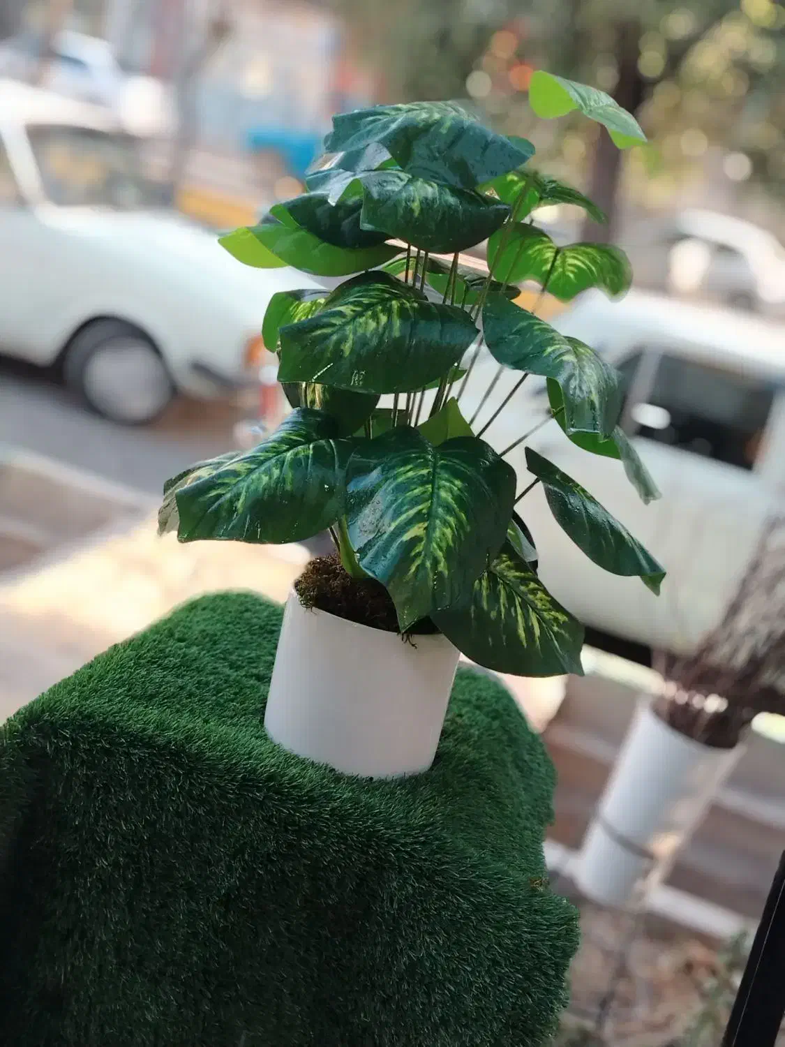 درختچه های مصنوعی‌.گیرین وال .چمن مصنوعی|گل مصنوعی|اصفهان, شهرستان|دیوار