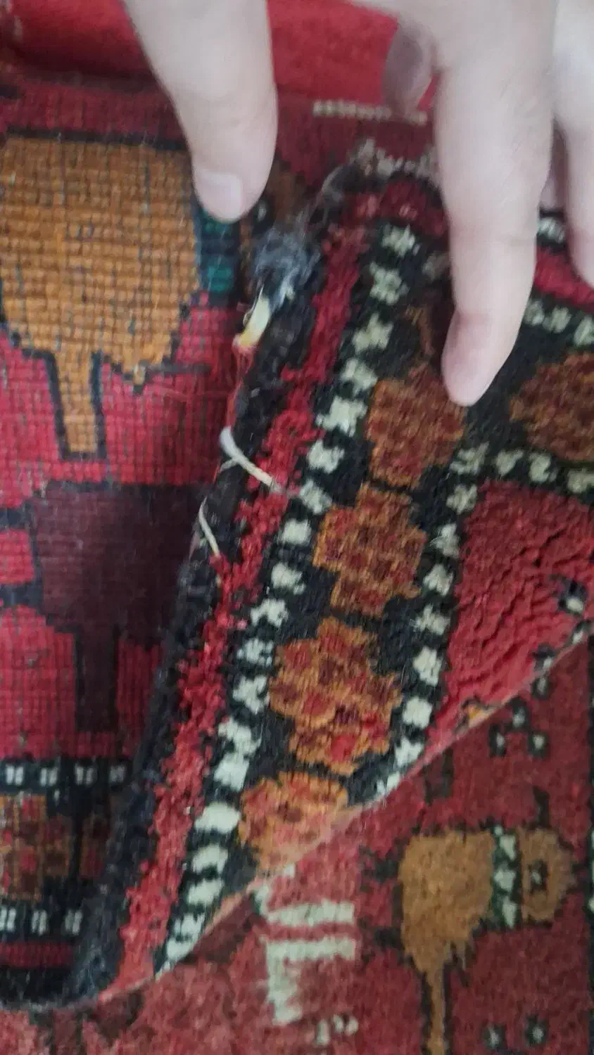 قالیچه عکس پرندگان|فرش|تهران, امانیه|دیوار