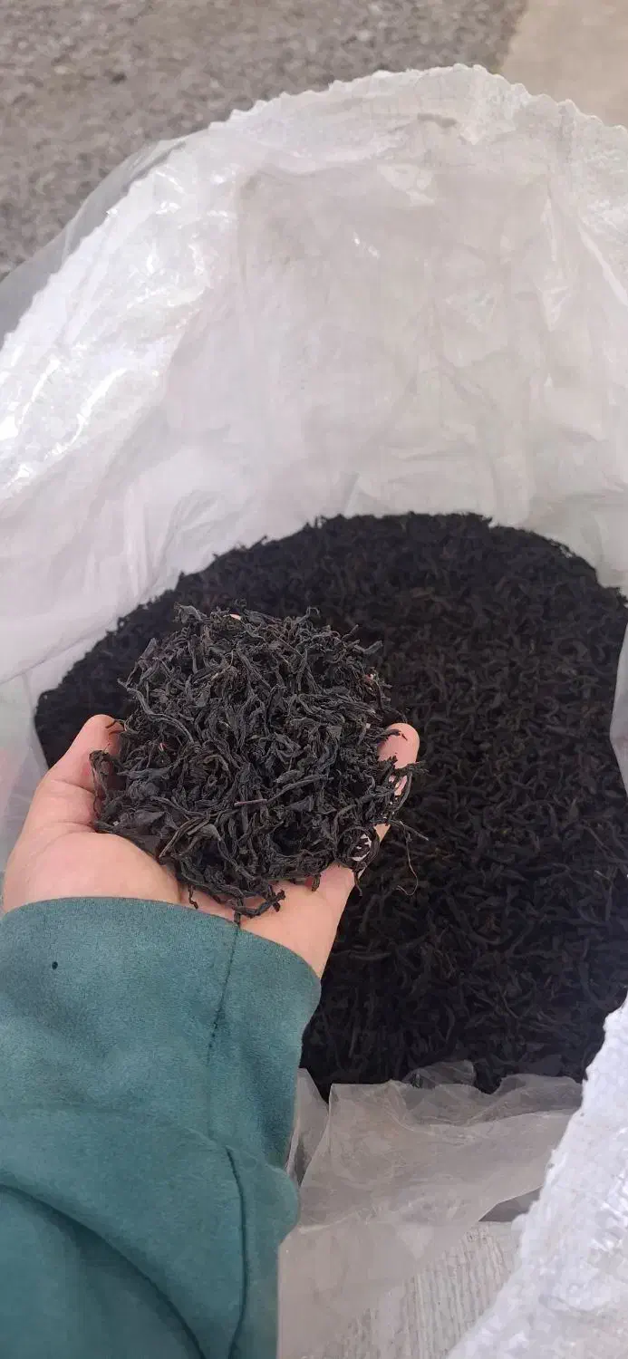 فروش عمده انواع چای ارگانیک،بهاره،ایرانی|خوردنی و آشامیدنی|رحیمآباد, |دیوار