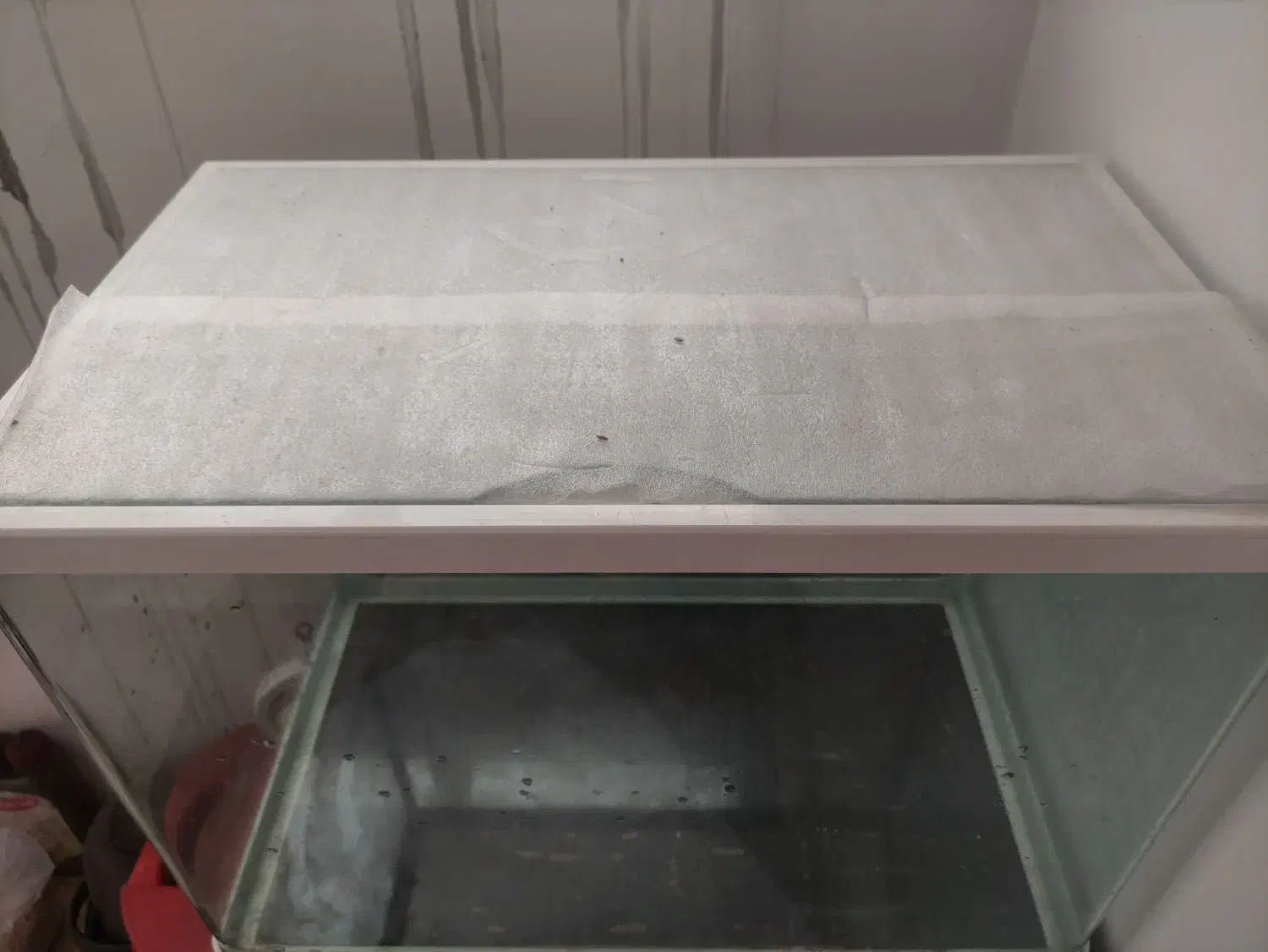 آکواریوم شیشه خم شرکتی قناری به همراه پمپ|ماهی|مشهد, کارمندان دوم|دیوار