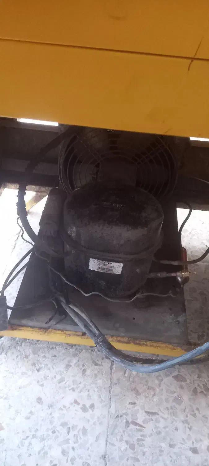 یخچال ویترینی|فروشگاه و مغازه|کرمان, |دیوار