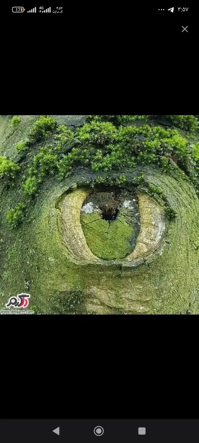 راهنمایی اقا|فعالیت داوطلبانه تحقیقاتی|کرمانشاه, |دیوار