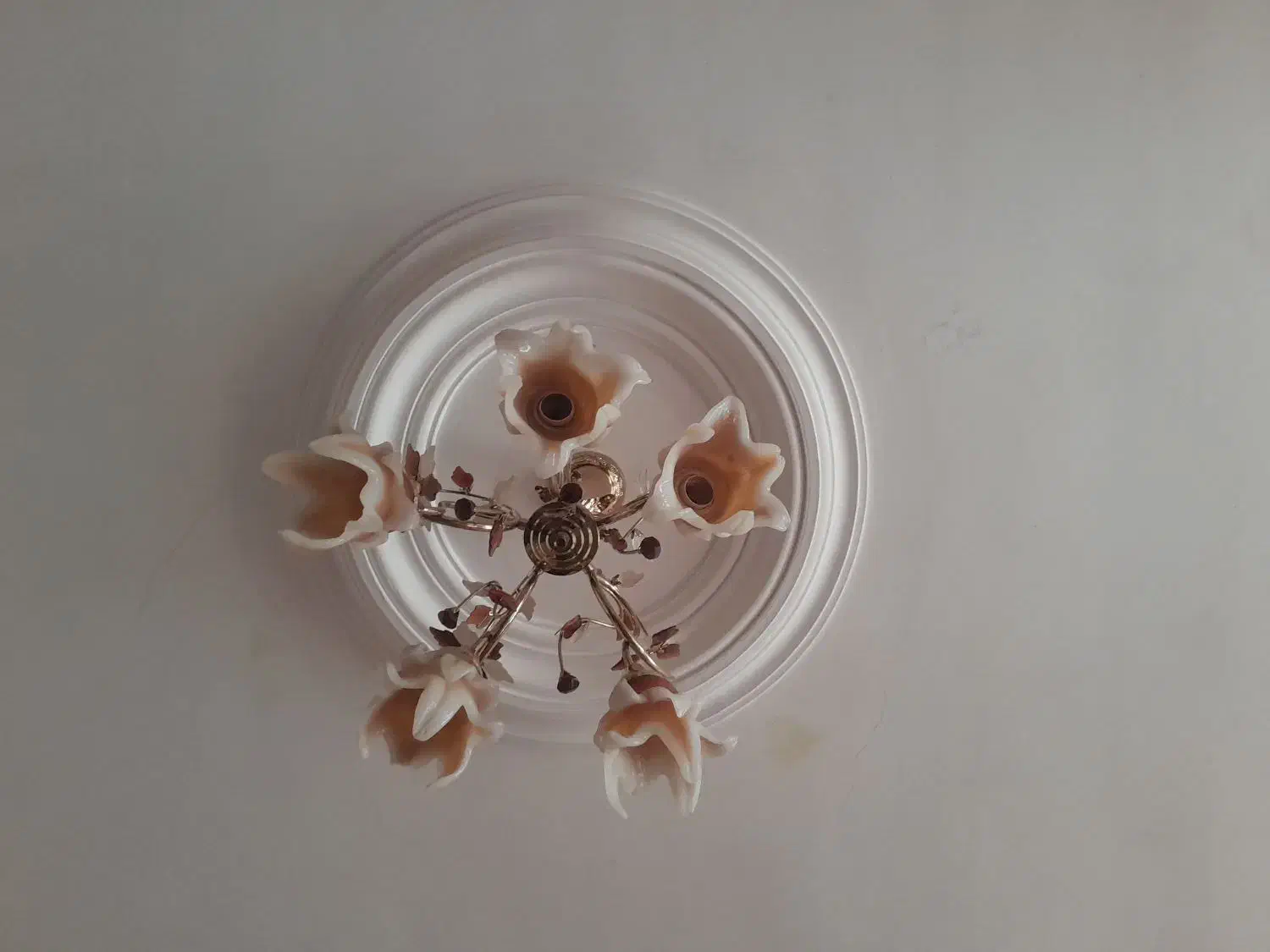 دو عدد لوستر|لوستر و چراغ آویز|ساوه, |دیوار