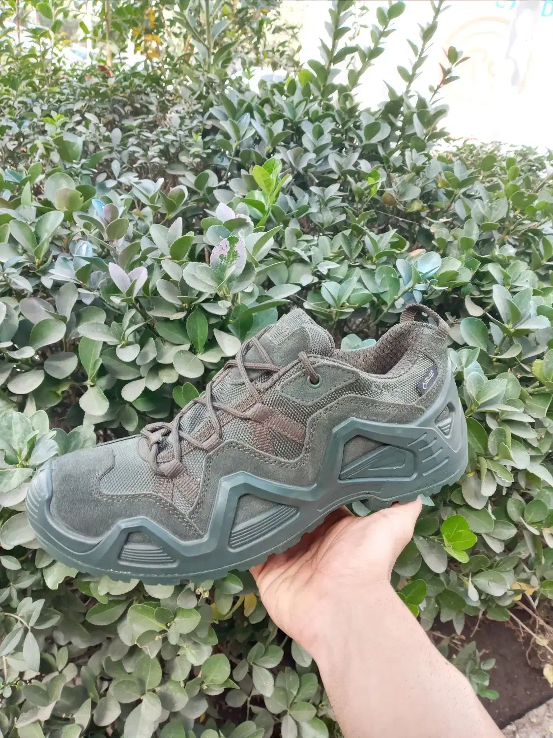 کتونی کوهنوردی و گلگشت برند Lowa اورجینال مستر|کیف، کفش، کمربند|مشهد, فرهنگ|دیوار