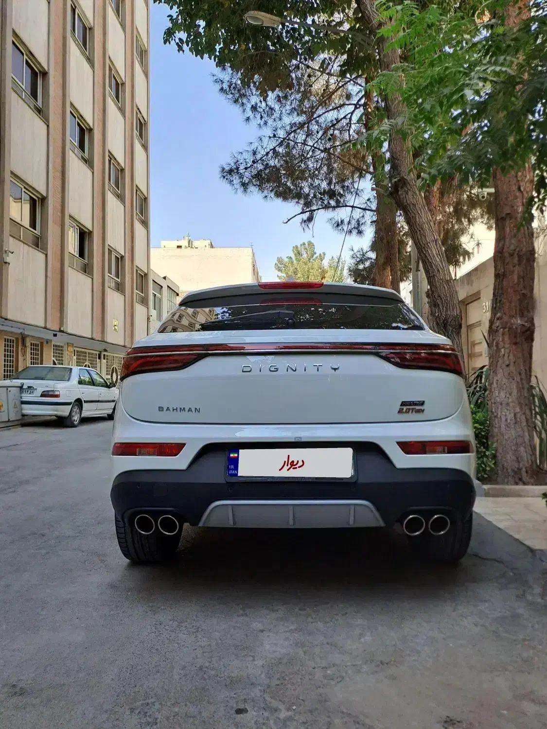 دیگنیتی پرستیژ داخل مارون|خودرو سواری و وانت|اصفهان, رزمندگان|دیوار