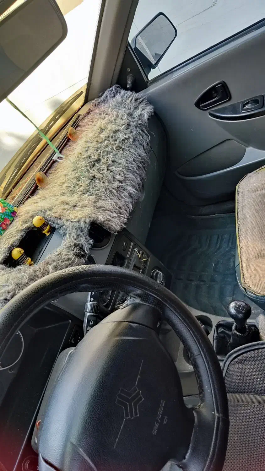 پراید دلفینی مدل 95کنگان|خودرو سواری و وانت|بندر کنگان, |دیوار