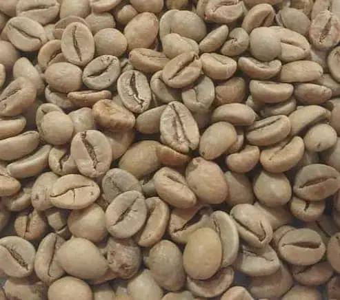 دان قهوه از تولید به مصرف بی واسطه|کافی‌شاپ و رستوران|اصفهان, قهجاورستان|دیوار