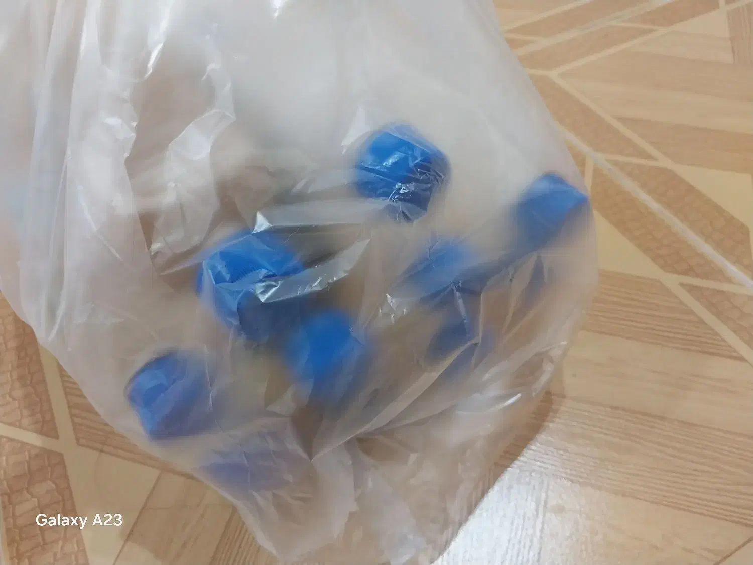 متریال دیسکس و ماهیها اورجینال با قیمت استثنایی|ماهی|بندر انزلی, چهارفریضه|دیوار