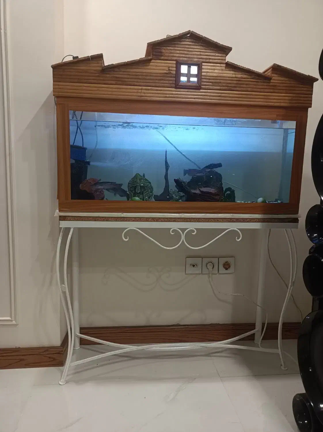 آکواریم و میز فرفوژه و ماهی|ماهی|اصفهان, امیرعرب|دیوار