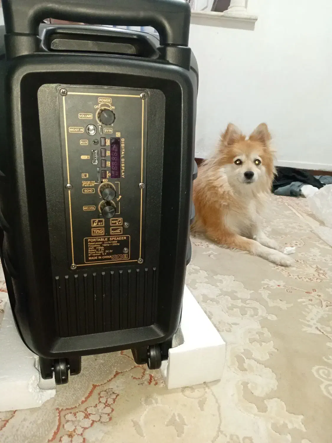 اسپیکر RX|سیستم صوتی خانگی|پاکدشت, پاکدشت (مامازند)|دیوار