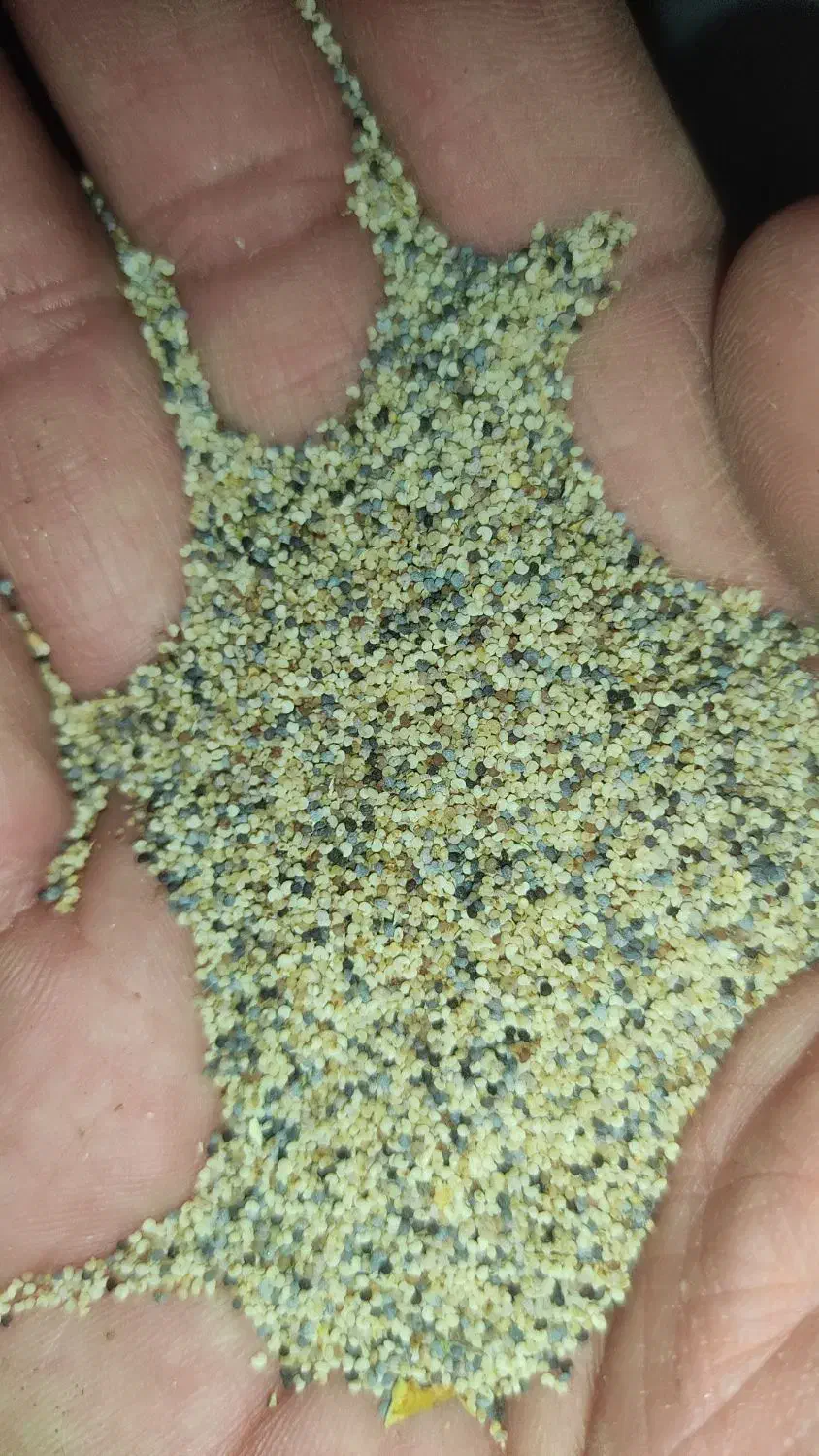 بذر کشاورزی|گل و گیاه طبیعی|درب گنبد, |دیوار