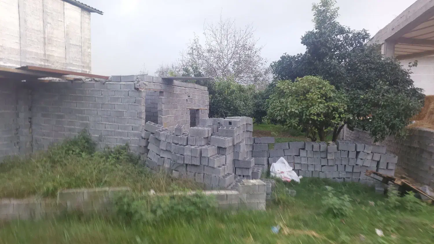 ۴۵۰ متر زمین مسکونی در بندپی شرقی|فروش زمین و ملک کلنگی|گلوگاه بابل (گلیا), |دیوار