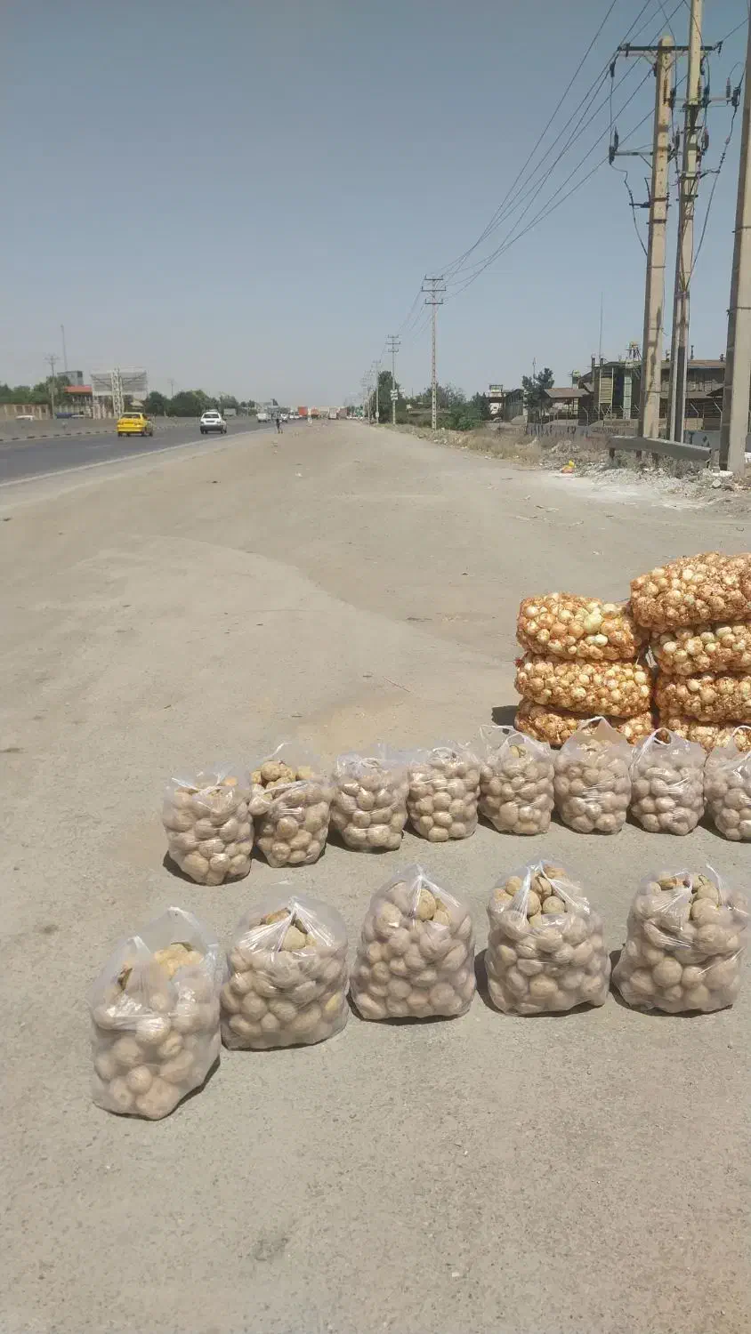 کارگر ساده میوه فروشی|استخدام خدمات فروشگاه و رستوران|گلمکان, |دیوار