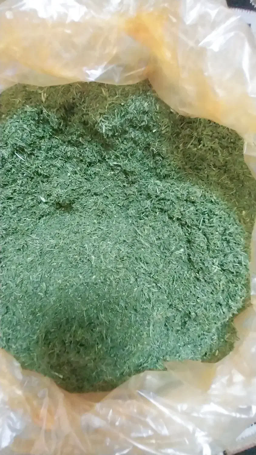 .شوید|خوردنی و آشامیدنی|تهران, یافت‌آباد|دیوار