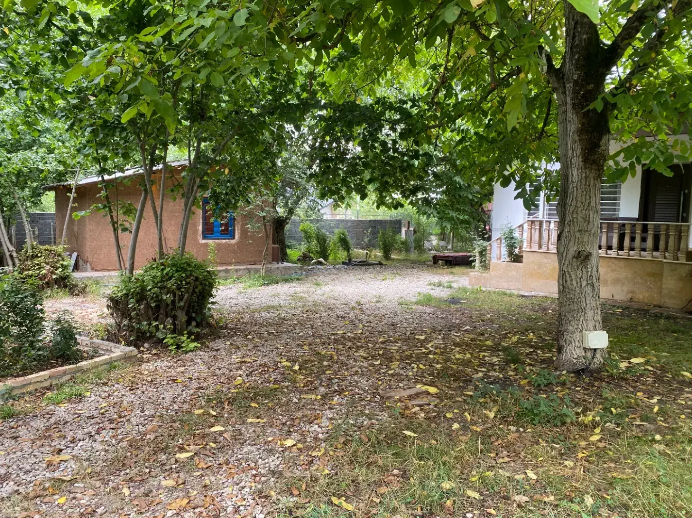 اجاره کلبه ویسر|اجارهٔ خانه و ویلا|کجور, |دیوار