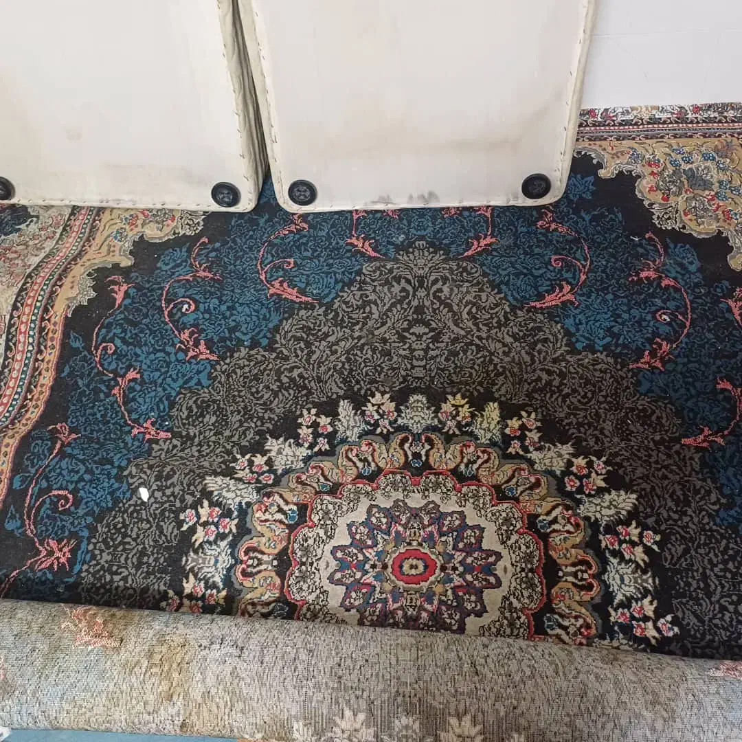 فرش ۱۲ متری تمیز|فرش|قشم, |دیوار