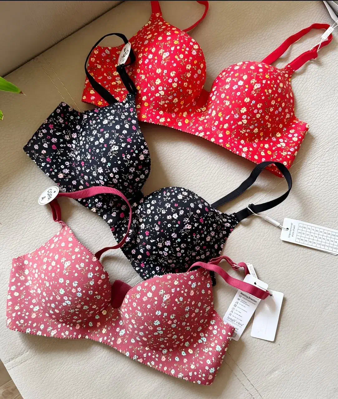 لباس زیر زنانه|لباس|مرند, |دیوار