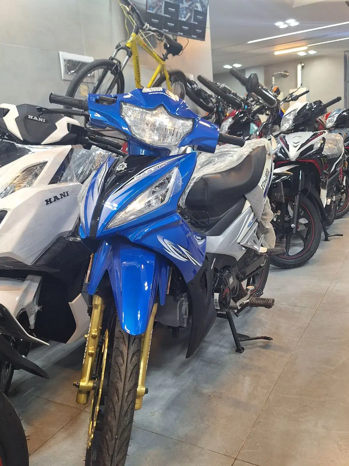 بیکلاج کویر ۱۲ ماه بدون سود|موتورسیکلت|اصفهان, محمودیه|دیوار