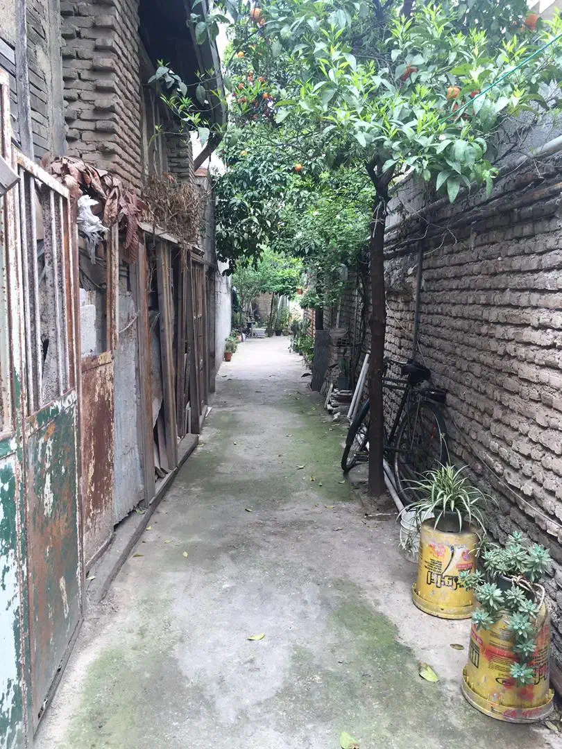 فروش ملک تجاری و مسکونی|فروش خانه و ویلا|ساری, |دیوار