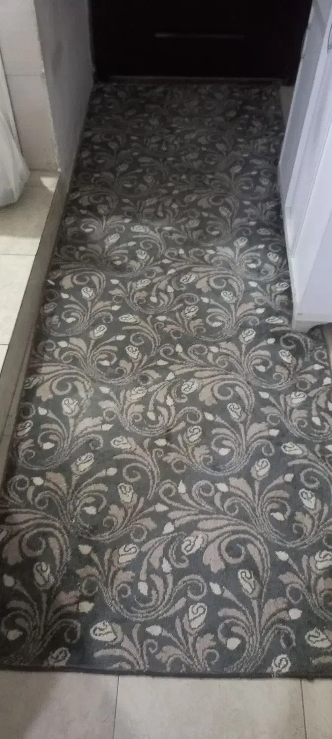 فرش راهرو دوتا|فرش|آبیک, |دیوار