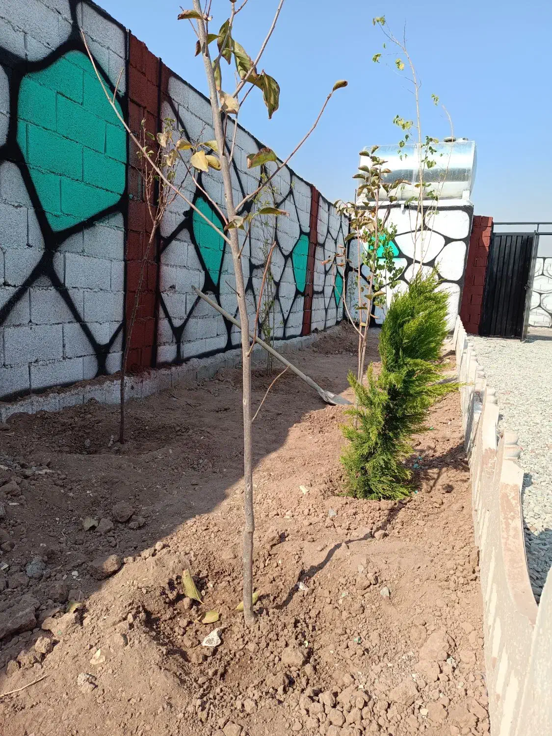 باغ/زمین/چار دیوار|فروش زمین و ملک کلنگی|شهریار, اصیل آباد|دیوار