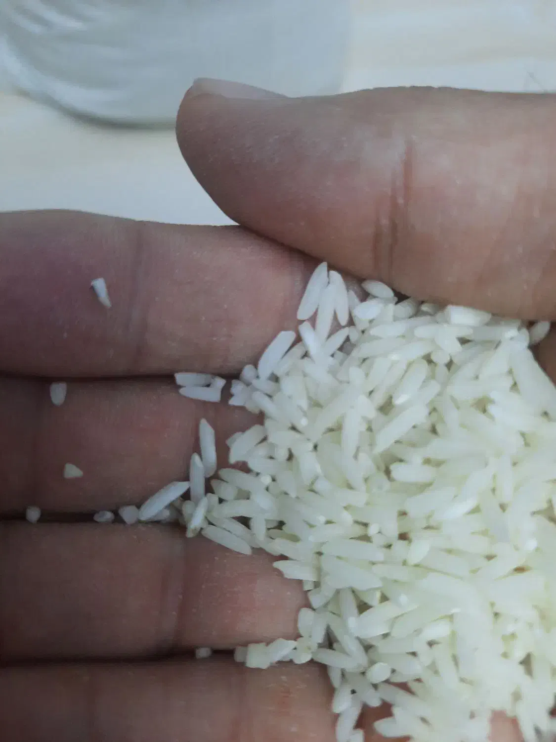 برنج هاشمی|خوردنی و آشامیدنی|رشت, حمیدیان|دیوار