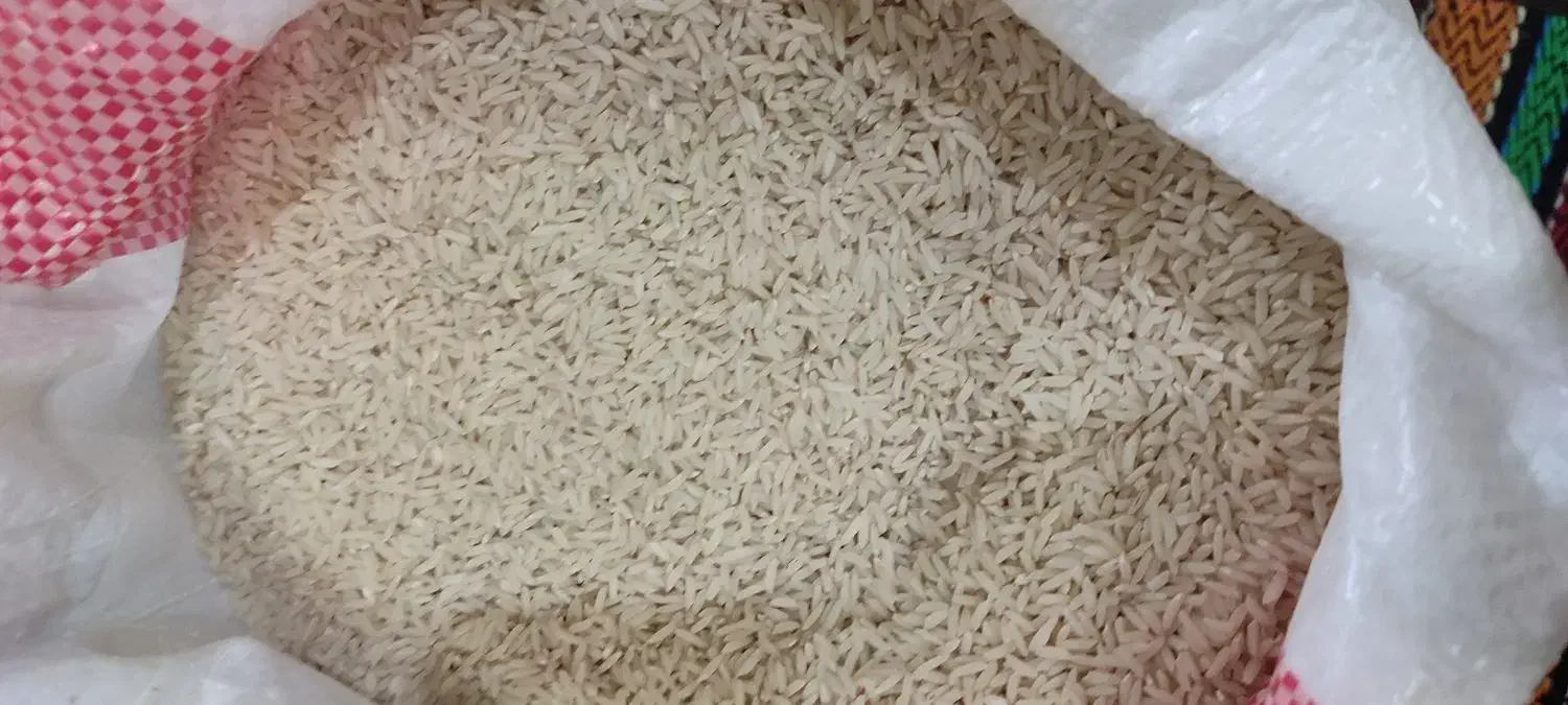 برنج هاشمی سورتینگ شده|خوردنی و آشامیدنی|کلاچای, |دیوار