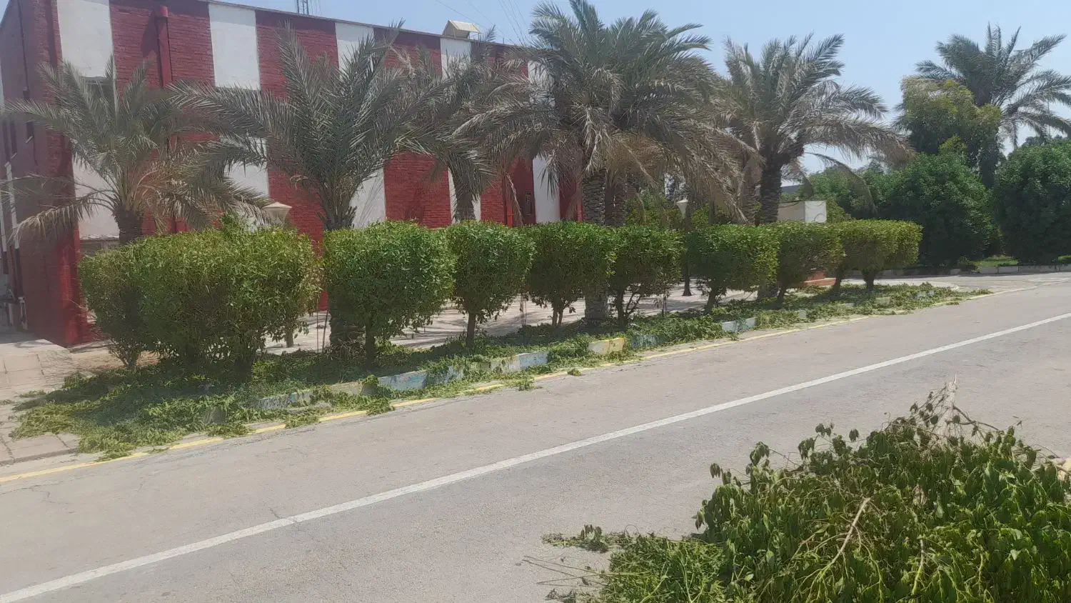 خدمات باغ..|خدمات باغبانی و درختکاری|چمران, |دیوار