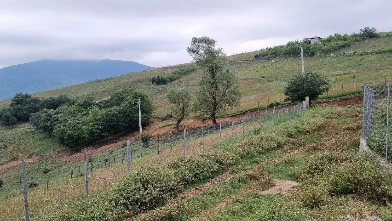 فروش زمین متراژ ۳۵۰ متر پاجی|فروش زمین و ملک کلنگی|فریم, |دیوار