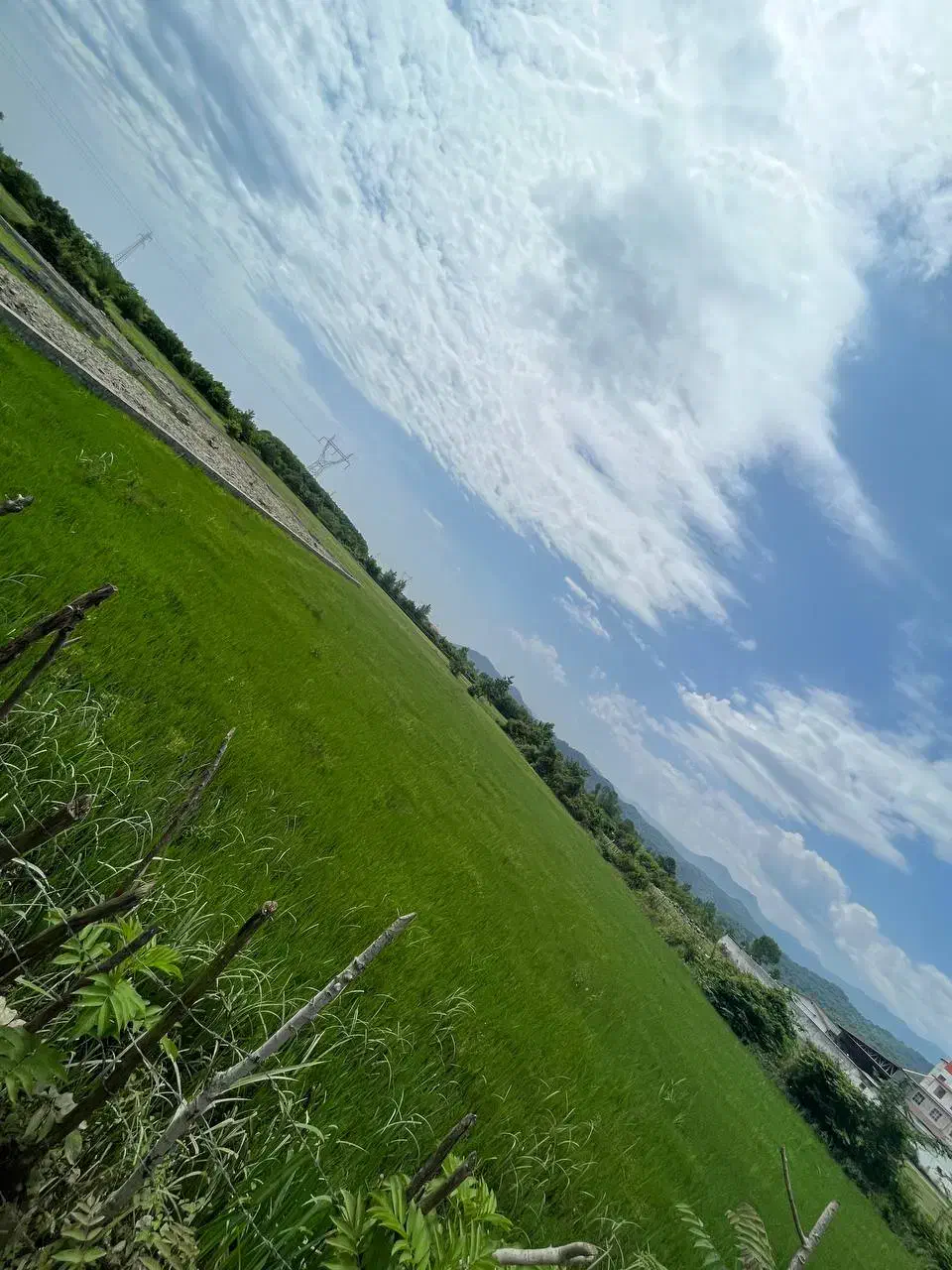 فروش زمین ۵۰۰۰ متری|فروش زمین و ملک کلنگی|آستارا, |دیوار