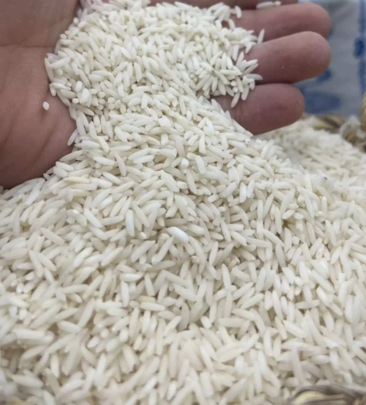 برنج طارم هاشمی اصیل مازندران|خوردنی و آشامیدنی|تهران, شیخ هادی|دیوار