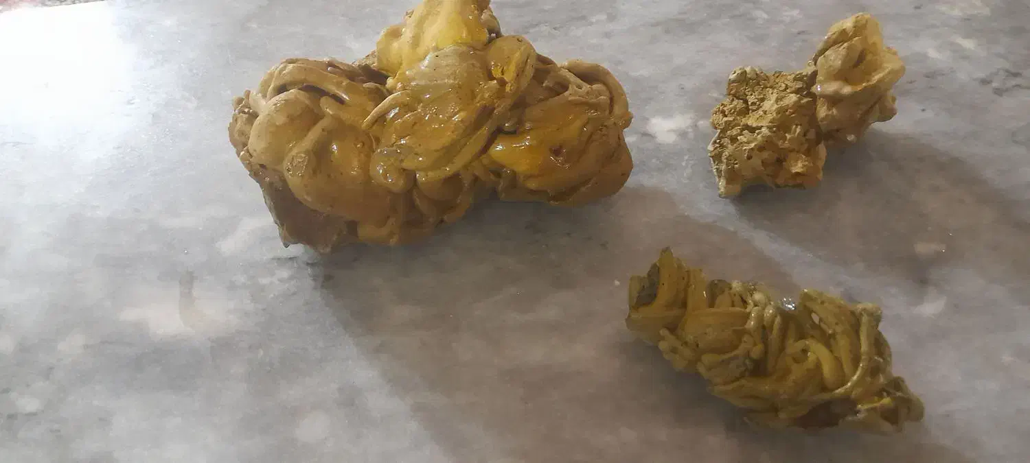 سنگ زینتی و...|ماهی|سنندج, |دیوار