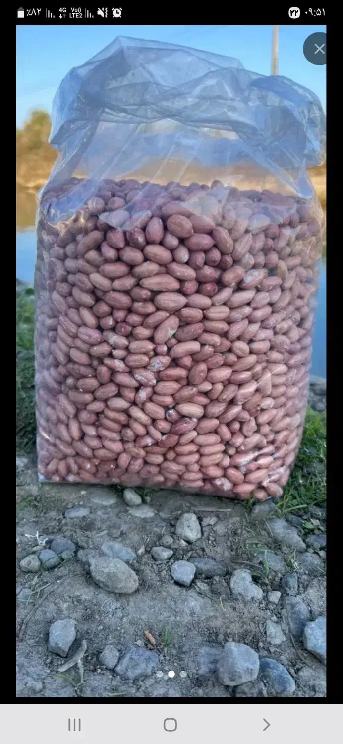 بادام زمینی درجه یک آجیلی|عمدهفروشی|جلفا, |دیوار