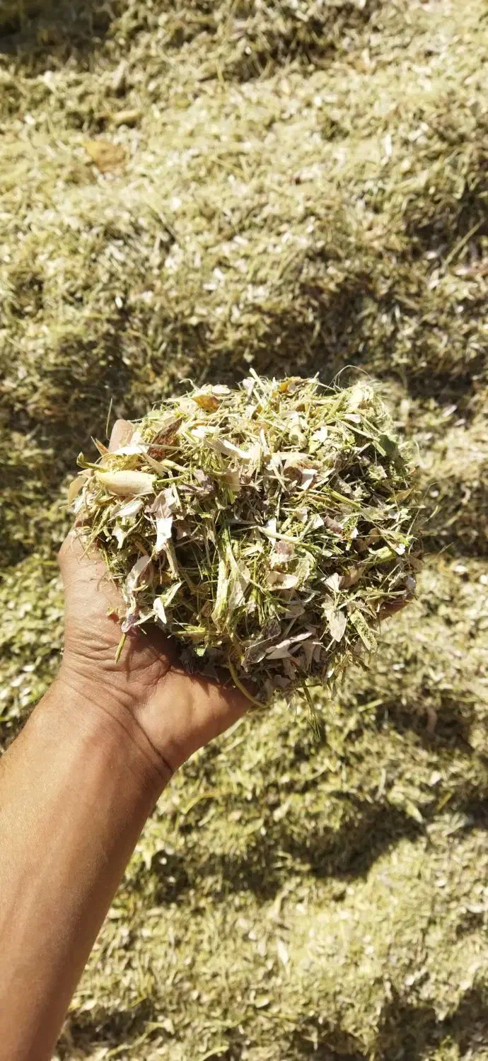 کاه وکاه لوبیا|لوازم جانبی حیوانات|کبودرآهنگ, |دیوار