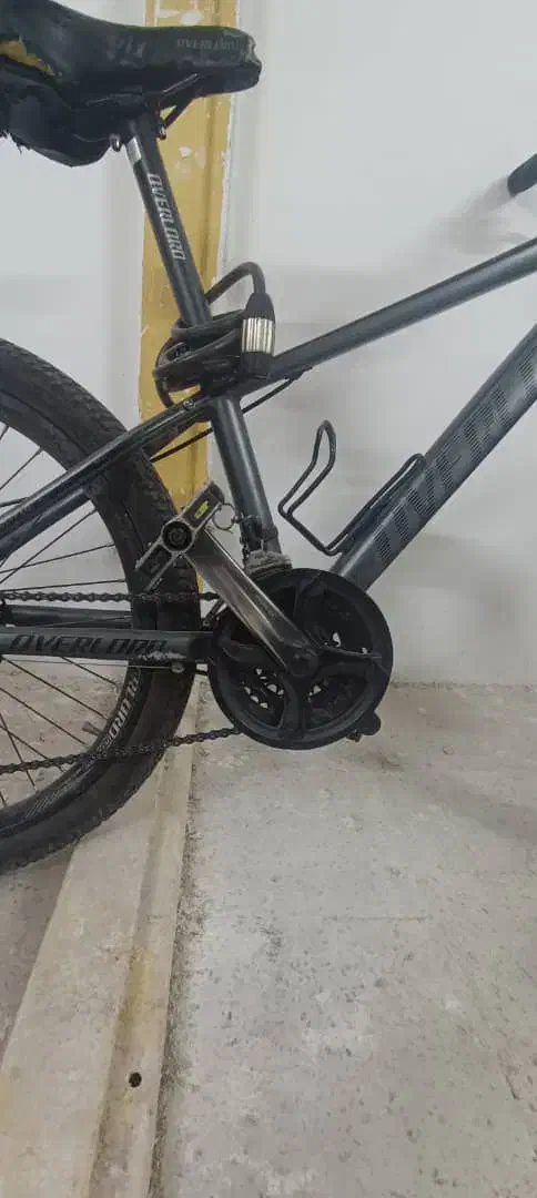 دوچرخه ۲۴ اورلورد|دوچرخه، اسکیت، اسکوتر|کرج, باغستان|دیوار