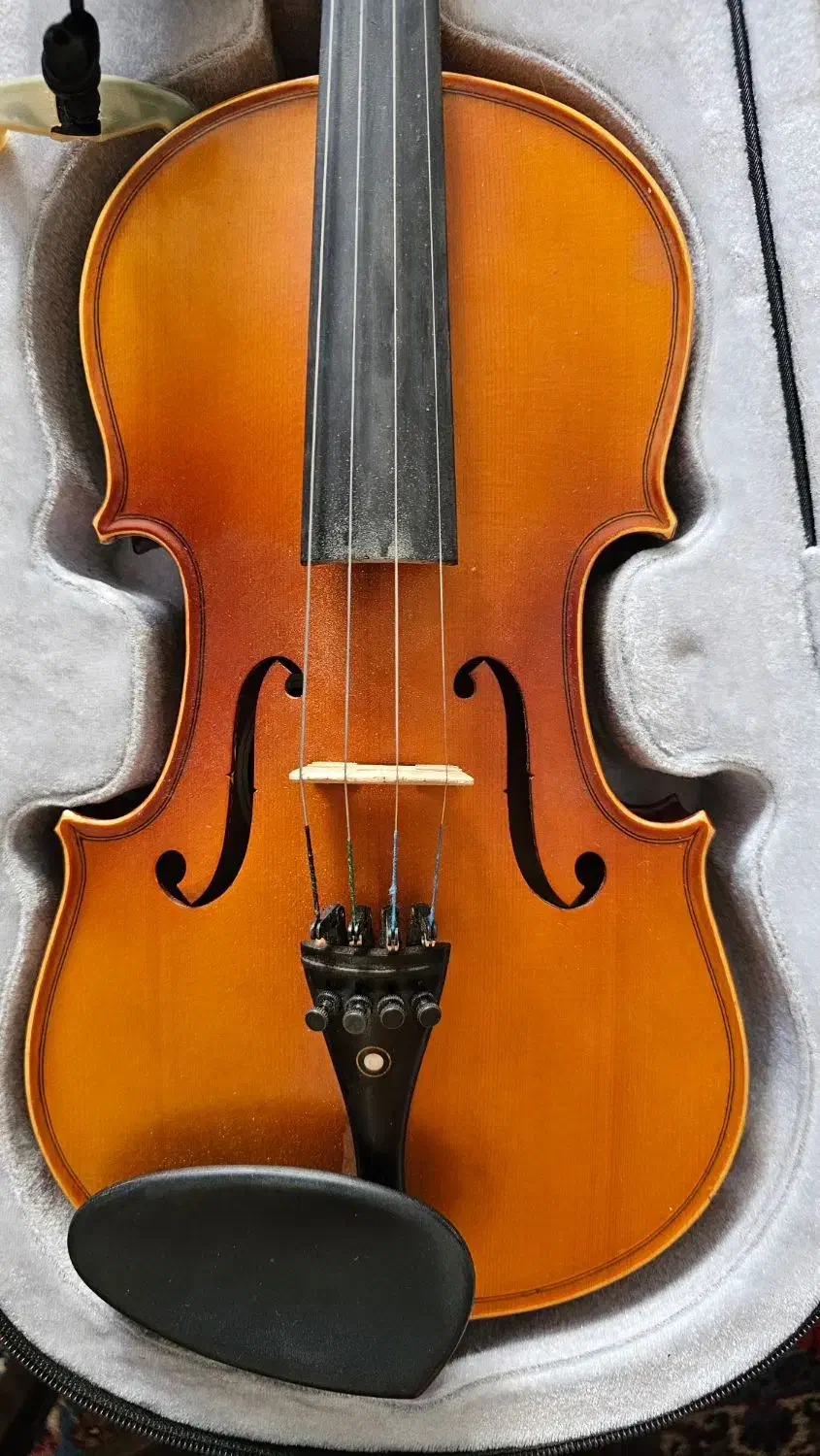 ویولن tf 142|ویولن|کرمان, |دیوار