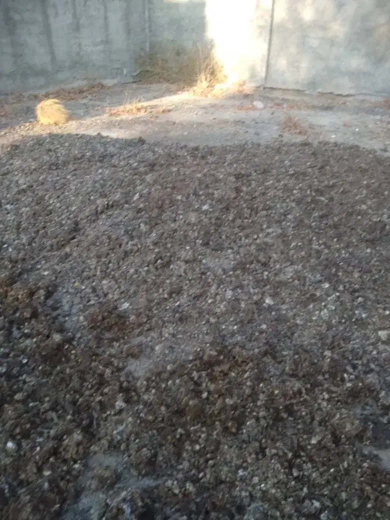 کود مرغی ،زل|خدمات باغبانی و درختکاری|فلاورجان, |دیوار