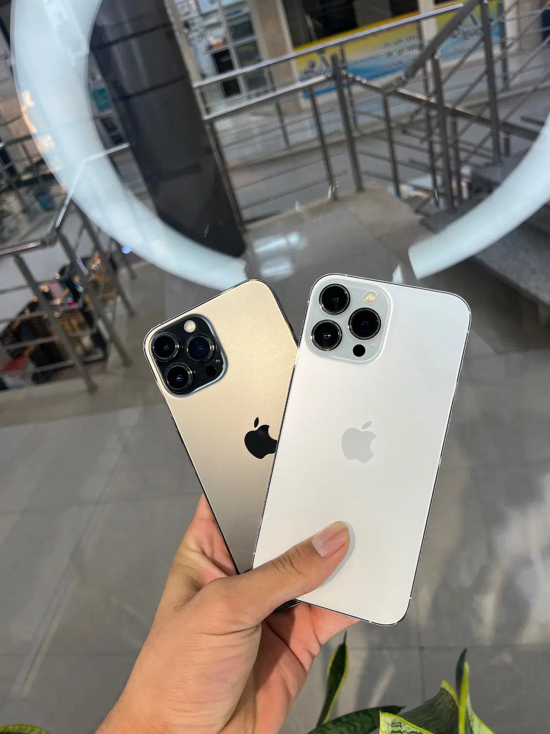 iphone 13 pro max|موبایل|گنبد کاووس, |دیوار