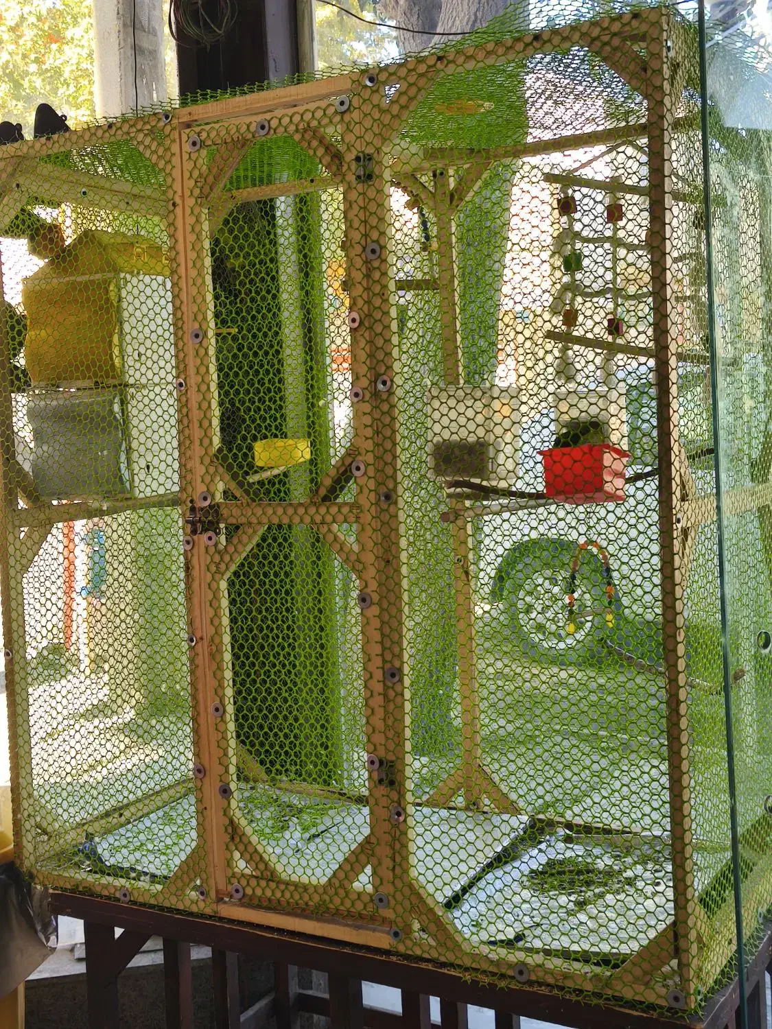 قفس دست ساز مخصوص طوطی سان ها|لوازم جانبی حیوانات|دورود, |دیوار