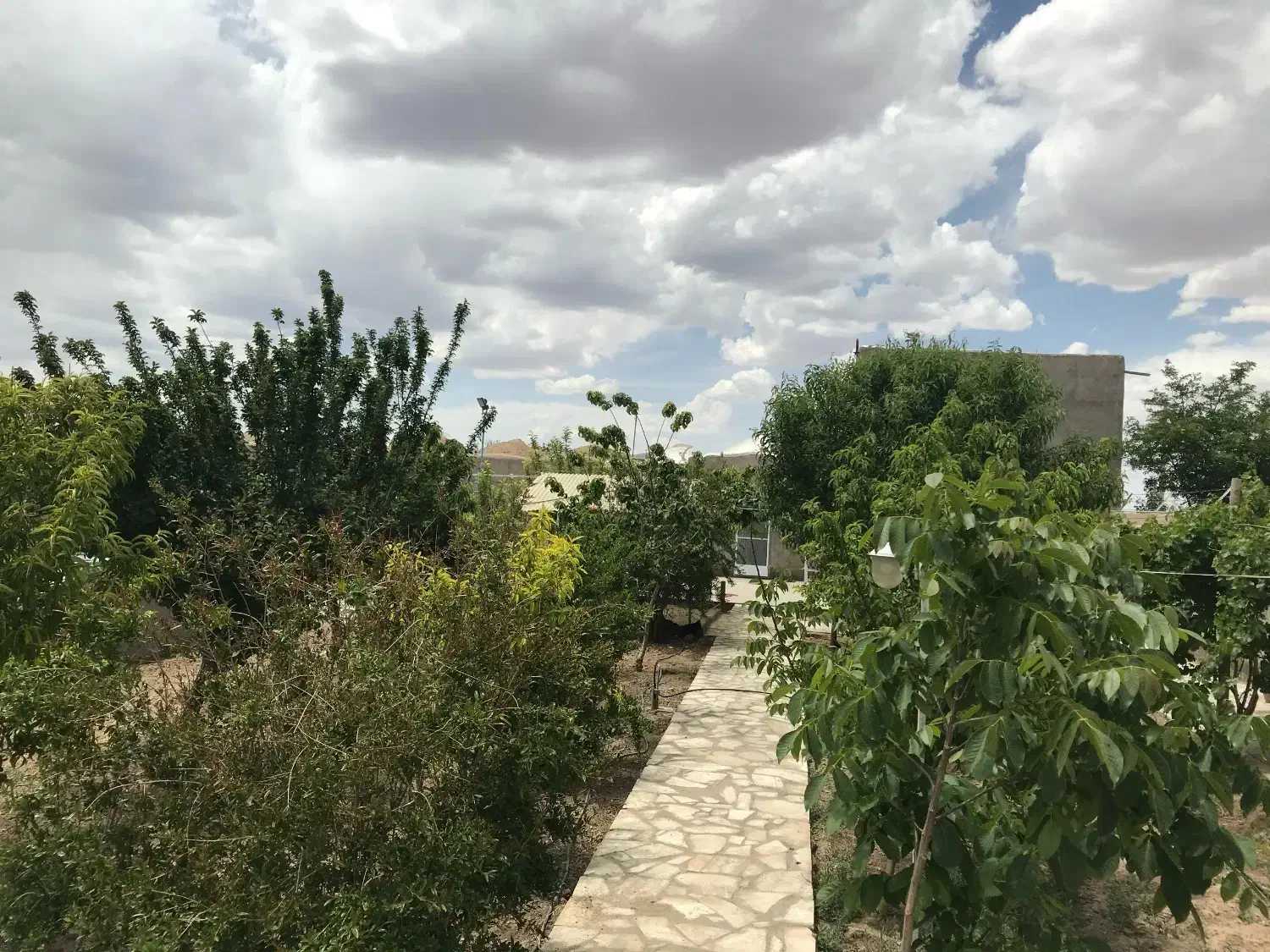 فروش گاوداری مجوزدار در میمه اصفهان|فروش دفتر صنعتی، کشاورزی، تجاری|میمه, |دیوار